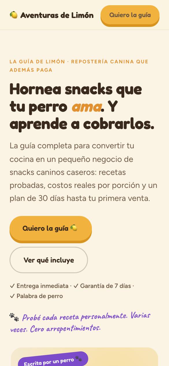 Página de venta de producto digital en celular